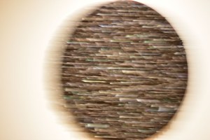 MOMA - Marcel Broodthaers - Cercle de moules