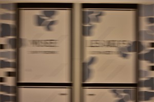 MOMA - Marcel Broodthaers - Department of Eagles