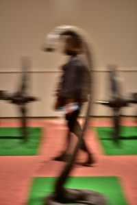 MOMA - Marcel Broodthaers - A conquest