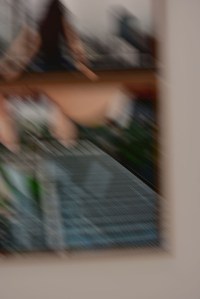 Schirn Halle Frankfurt am Main - Jun Ahn