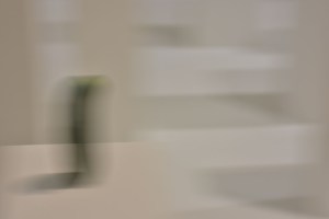 Schirn Halle Frankfurt am Main - Erwin Wurm